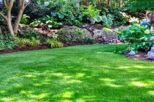 A gardener spreads shredded wood mulch around flowers and shrubs while keeping it away from plant stems.
